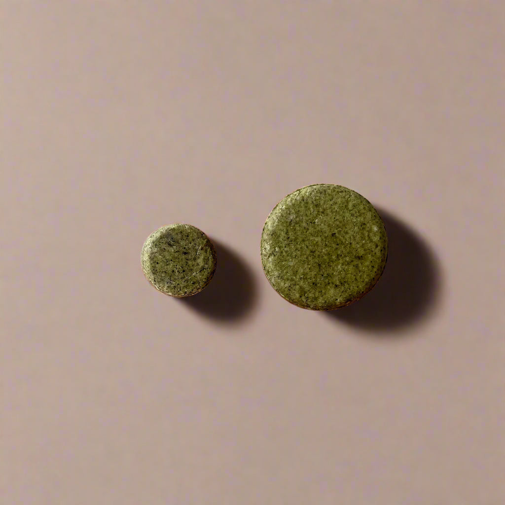 SHAMPOO BARS