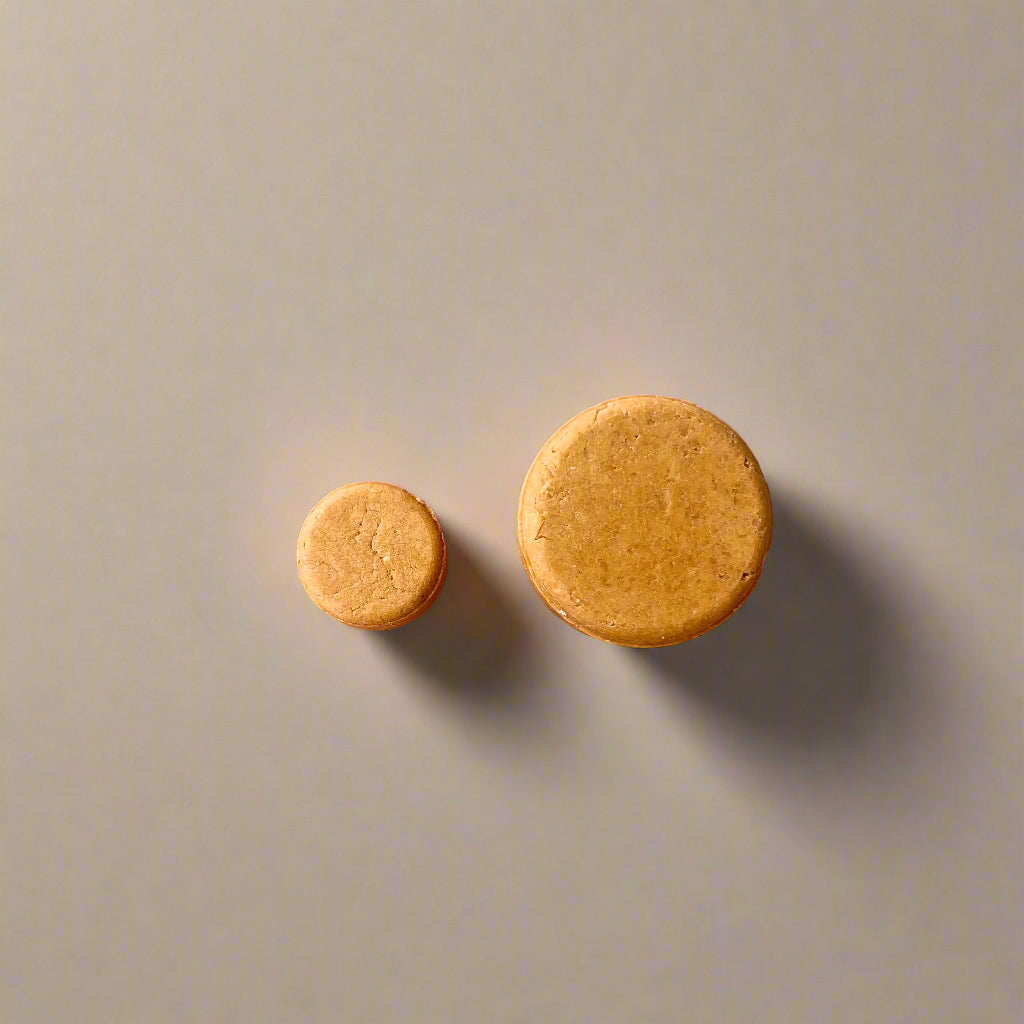 SHAMPOO BARS