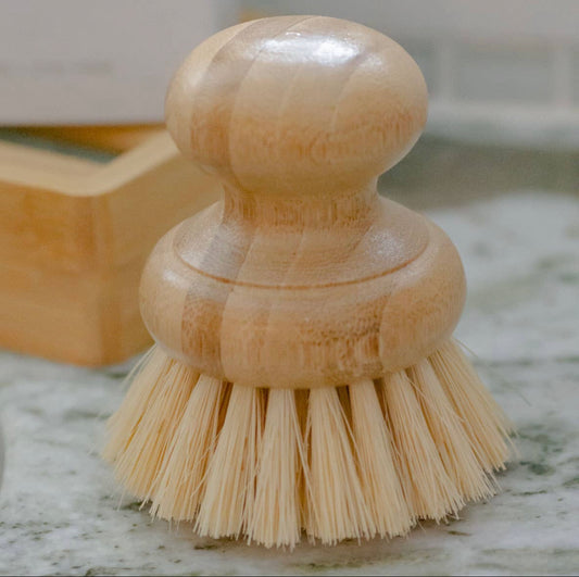 DISH BRUSH