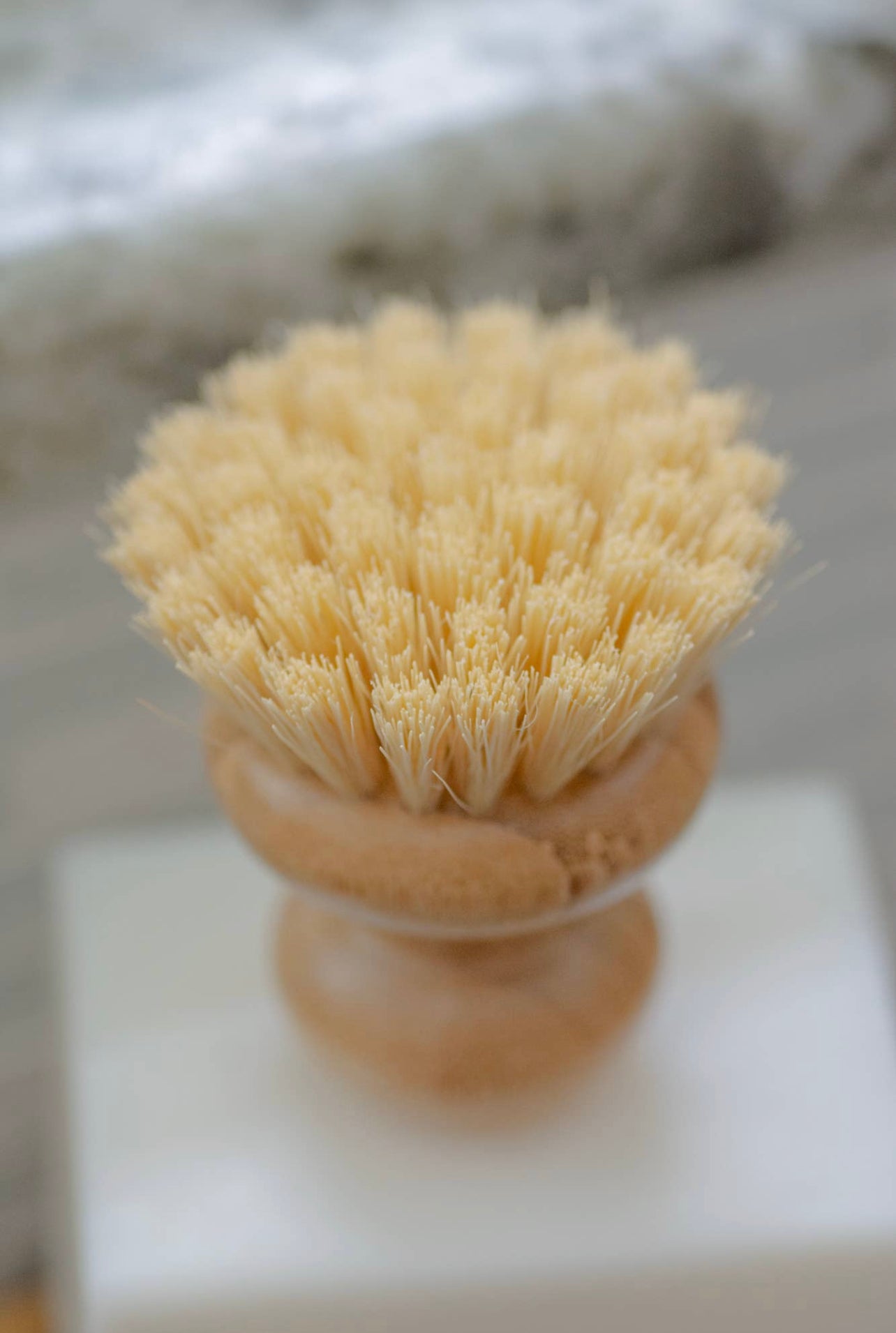 DISH BRUSH