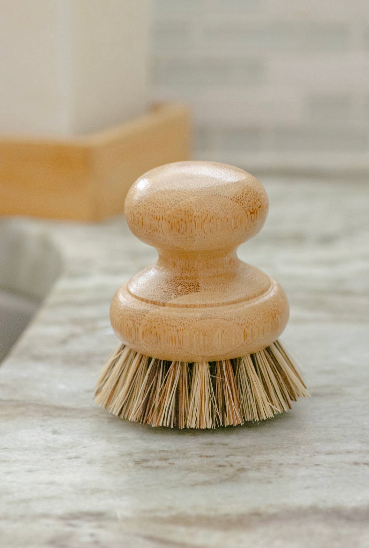 DISH BRUSH